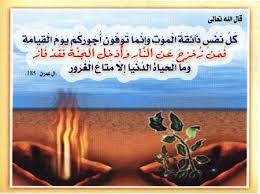 منتديات لك النسائية الأرشيف