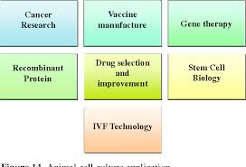 We did not find results for: Pdf An Animal Cell Culture Advance Technology For Modern Research Semantic Scholar