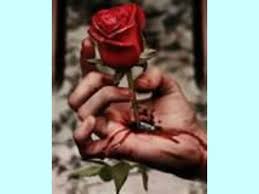 Gambar hati terluka betharia sonata hati yang luka youtub. Hati Yang Terluka Photos Facebook