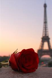 Hintergrundbild iphone tumblr photography schöne die 94 im. Rote Rose Eiffelturm Paris 750x1334 Iphone 8 7 6 6s Hintergrundbilder Hd Bild