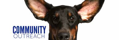 Meet adoptable dogs and fosters, join pet haven alumni, volunteers, and friends. Midwest Animal Rescue