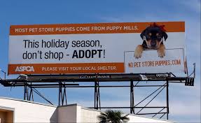 Your new favorite pet shop will be allans pet center! Animal Welfare Groups Don T Buy Pet Store Puppies