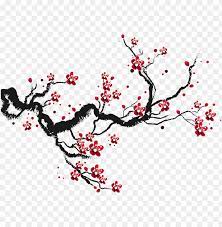 Cherry blossom tree drawing by watercolor at vintage background, aquarelle sketch of blooming apple tree, painting. Blossoms Transprent Png Free Cherry Blossoms Drawing Tree Png Image With Transparent Background Toppng