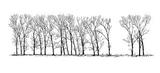All the projects inside will show you step by step how to build anything from scratch. 25 Wood Burning Tree Patterns For Hobbyists