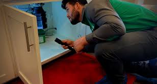 These steps make the pesticides and when your home is infested pests like mild ant, you can manage to control them. Do I Have To Leave The House For Pest Control Vinx Pest Control