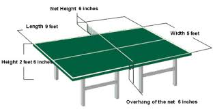 Diy ping pong table the great outdoors. How To Choose Your Table Tennis Table