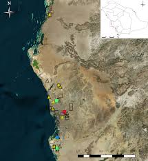 Here's the list of the lawyer: Frontiers Detection Of Denv 2 And Insect Specific Flaviviruses In Mosquitoes Collected From Jeddah Saudi Arabia Cellular And Infection Microbiology