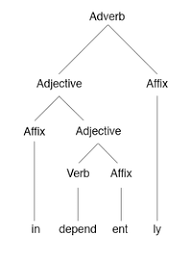 It is difficult to say what they mean but easier to say what they do. Morphology Linguistics Wikipedia