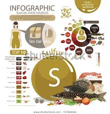 Infographics Sulfur Food Sources Food Maximum Stock Vector