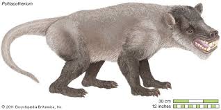 Psittacotherium Prehistoric Animals Extinct Animals Mammals