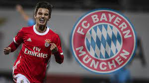 Game number in starting lineups: Berichte Auch Benfica Talent Tiago Dantas In Transfer Offensive Zum Fc Bayern Mit Kaufoption Sportbuzzer De