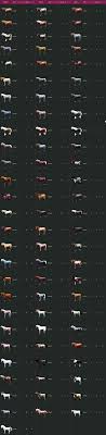 Black Desert Online Advanced Horse Breeding Guide And