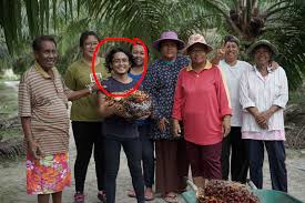 Jika 10 ekar tanah ditanam pokok kelapa sawit berumur 12 tahun boleh menghasilkan 22 tan buah anda boleh bertanya kepada pengguna baja kami dan berapa hasil yang mereka perolehi sebulan. Berladang Sawit Boleh Dapat Rm10k Sebulan Lagi Baik Daripada Makan Gaji Soscili