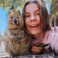 Quokka