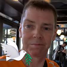 Looking for yellow jacket extermination quote