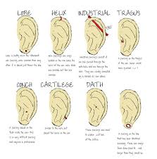 Ear Piercings Daith Piercing Piercing Oreilles Piercing Homme