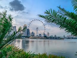 The last new city airport exclusive pack seen was sold on ebay.com. Gardens By The Bay Sehenswurdigkeiten Highlights Und Eintrittspreise