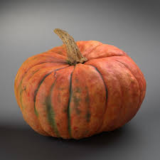 Pumpkin Winter Squash 3d Model Pumpkin 3d Model Winter Squash