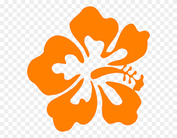 Try to search more transparent images related to orange flower png |. Orange Flower Clipart One Flower Orange Flower Png Stunning Free Transparent Png Clipart Images Free Download