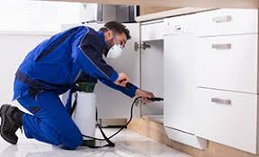 Landlord shall, at its own expense, keep the demised premises free from infestation by termites, rodents, and other pests and shall repair all damage caused to the demised premises by the same during the term of this rental agreement. Who Is Responsible For Pest Control In A Rental Property Bmt Insider