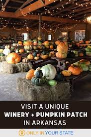 Bobrook Farms Winery And Pumpkin Patch Are The Perfect Fall Pairing In Arkansas Best Pumpkin Patches Pumpkin Day Trips For Kids