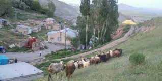 'erzincan'ın gizli cennetlerinden tercan konarlı şelalesi. Tercan Koprubasi Koyu