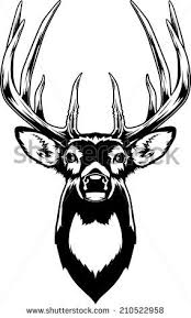 Black And White Deer Clipart Images Stock Vector Whitetail Deer Head Vector Illustration Of A Whitetail Deer Head 210522958 Jpg 284 470 Deer Head Silhouette Deer Drawing Deer Head