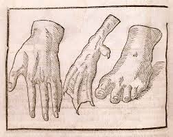 نتیجه جستجوی لغت [appendages] در گوگل