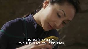 Enterprise season 1 episode 8 Hoshi: One word you should remember: Akali.  That's the name of their species. Me, a polyglot and linguist: Bitch not  even *humans* can agree what our species