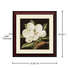 Amanti Art 24 in. W x 25 in. H 'Magnolia Grandiflora, 2003' by Jenny Barron  Printed Framed Wall Art DSW2971691