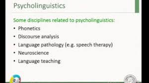 علم اللغة النفسي المحاضرة التمهيدية Youtube