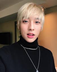 Holland Kpop Holland Kpop Singer