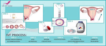 Maybe you would like to learn more about one of these? What Is Ivf Treatment Cost Insurance Policy Embryo Quality