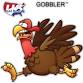 Gobbler 5K, 10K, & Half Marathon at Ephram White event image