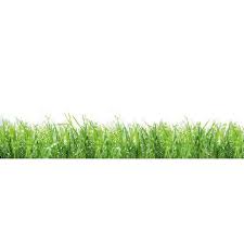 Kuchenruckwand 60 Cm X 200 Cm Alu Dibond Drops On Green Gras Kaufen Bei Obi Kuchenruckwand Kuche Gras
