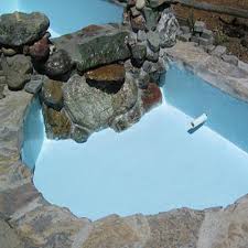 It means you are saving and again its one coat is needed for repair or as precaution for proper coverage. Pond Armour Sku Skyblue Qt R Non Toxic Pond Shield Epoxy Paint 1 4l Sky Blue By Pond Armor Shop Online For Homeware In New Zealand
