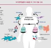 자가면역질환의 새로운 치료법을 찾아서 | 한국경제