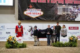 2024 Marshall+Sterling Insurance/USHJA National Championships Conclude with  Hunter, Jumper, and Affiliate Tricolors :: USHJA