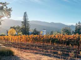 Tripadvisor.com has been visited by 1m+ users in the past month From San Francisco The Perfect Day Trip To Napa Valley Passports And Preemies