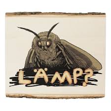 Lamp Moth Meme Wood Panel Wall Art Wood Paneling Art