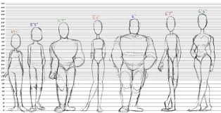 body type chart tumblr