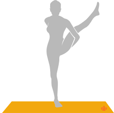 Bird Of Paradise Yoga Pose Sanskrit Bird Of Paradise Pose In 2020 Bird Of Paradise Pose Birds Of Paradise Pet Birds