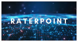 RaterPoint: Everything You Need to Know About This Platform