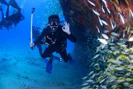 Обучение дайвингу по системе padi и получение сертификата. 8 Best Dive Centers In Bali Where To Learn Scuba Diving In Bali Go Guides