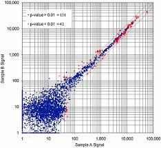 5 Fluorouracil Drug Alters The Microrna Expression Profiles In Mcf 7 Breast Cancer Cells Shah 2011 Journal Of Cellular Physiology Wiley Online Library
