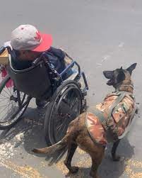 Loyal dog pushes owner in wheelchair | dog | We don't deserve dogs ❤️ | By  UNILADFacebook
