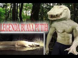 Kisah misteri buaya putih, ritual pemujaan jin dan kelibat nenek misteri sudah menjadi cerita biasa bagi orang2 pulau. Buaya Putih Legenda Tertangkap Youtube
