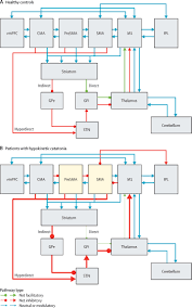Let's change the world together. Structure And Neural Mechanisms Of Catatonia The Lancet Psychiatry