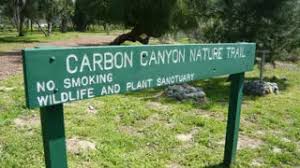 Maybe you would like to learn more about one of these? Nature S Nightlife In Carbon Canyon Regional Park