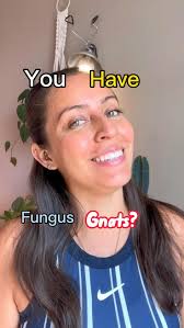 Birva Shah (shahbirva)